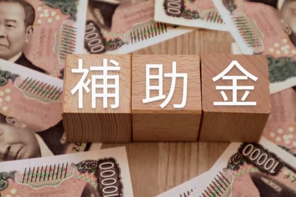 国の補助金を使ってトイレリフォーム